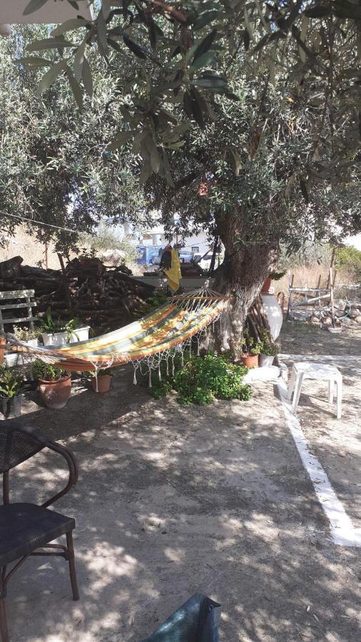 Olive Trees Villa Poros Town Dış mekan fotoğraf